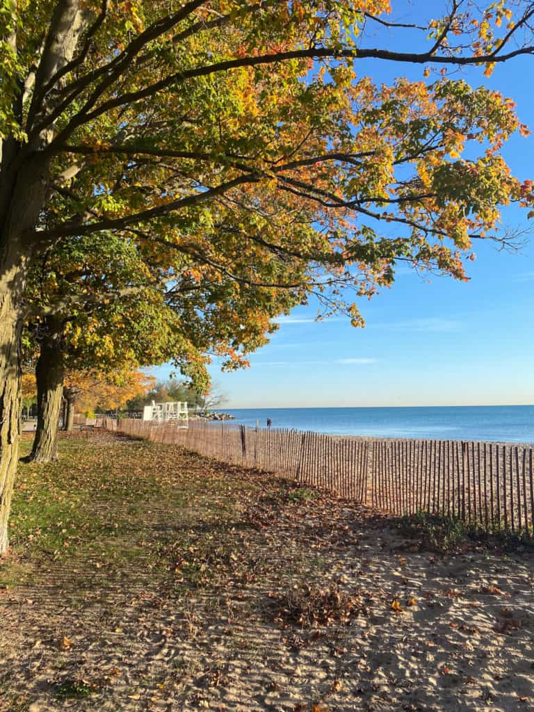 Living in Evanston, IL for the Kellogg MBA program by Ashley Miller view of Lake Michigan