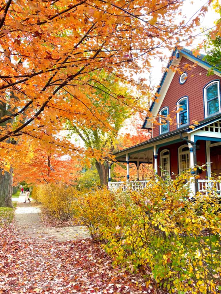 Living in Evanston, IL for the Kellogg MBA program by Ashley Miller