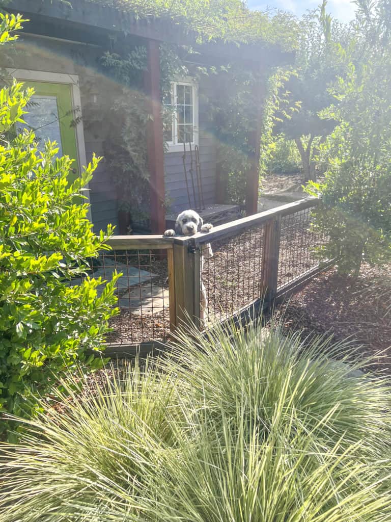 things to do in sonoma county, wineries in sonoma wine country, travel guide to sonoma, weekend trip to sonoma
