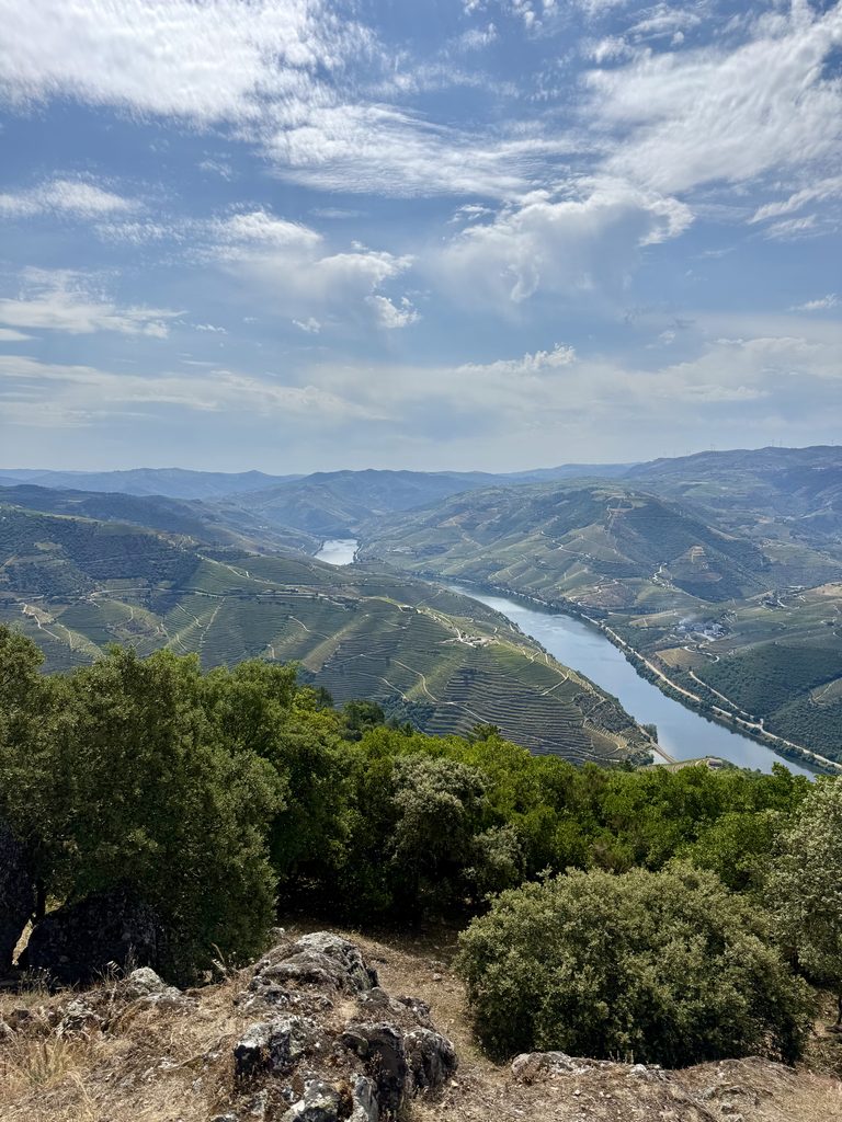 Scenic view of the terraced vineyards and rolling hills along the Douro River during a Pinhão boat tour in Portugal.