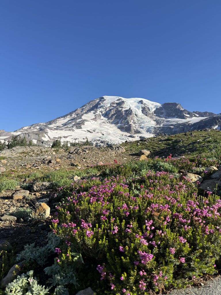 Scenic view of Mount Rainier rising above the subalpine meadows along the Skyline Loop Trail in Paradise.