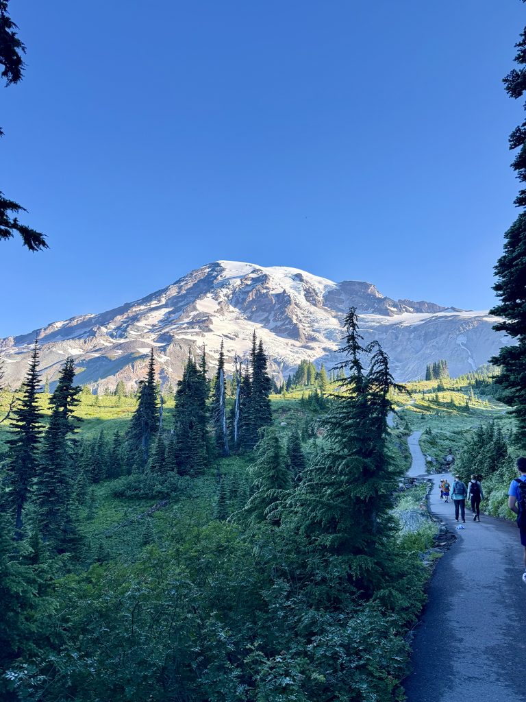 Paved climbing trail on the Skyline Loop Trail at Mount Rainier surrounded by subalpine alpine scenery.